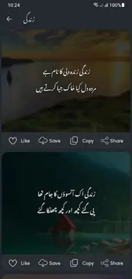 Urdu Poetry android App screenshot 2