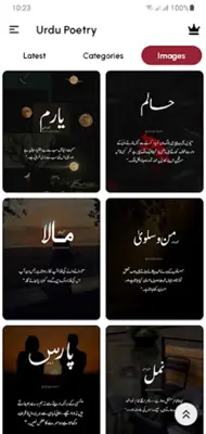 Urdu Poetry android App screenshot 4